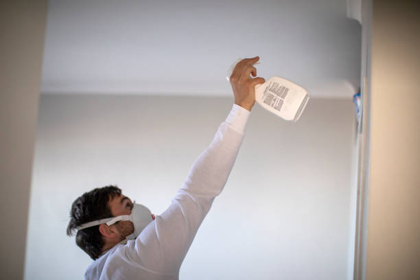 Best DIY Mold Remediation Support Services in Grayling, MI